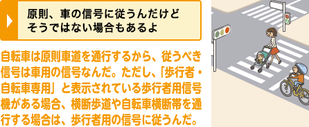 原則、車の信号に従うんだけどそうではない場合もあるよ
自転車は原則車道を通行するから、従うべき信号は車用の信号なんだ。ただし、「歩行者・自転車専用」と表示されている歩行者用信号機がある場合、横断歩道や自転車横断帯を通行する場合は、歩行者用の信号に従うんだ。