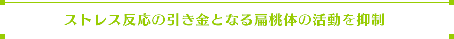 動脈硬化の発症を抑える!?