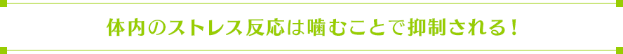 動脈硬化の発症を抑える!?