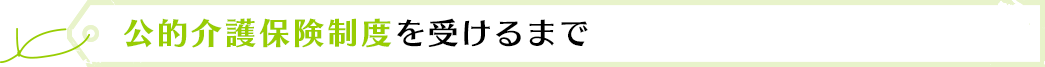 公的介護保険制度を受けるまで