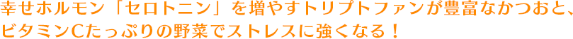 幸せホルモン「セロトニン」を増やすトリプトファンが豊富なかつおと、ビタミンCたっぷりの野菜でストレスに強くなる！