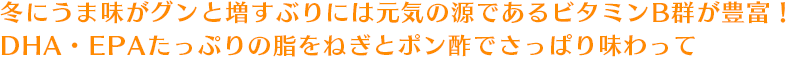 冬にうま味がグンと増すぶりには元気の源であるビタミンB群が豊富！DHA・EPAたっぷりの脂をねぎとポン酢でさっぱり味わって