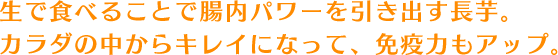 生で食べることで腸内パワーを引き出す長芋。カラダの中からキレイになって、免疫力もアップ。