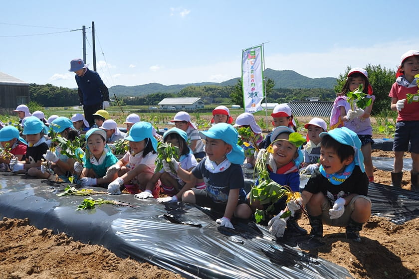 県域における食育イベント・農業体験の開催支援イメージ